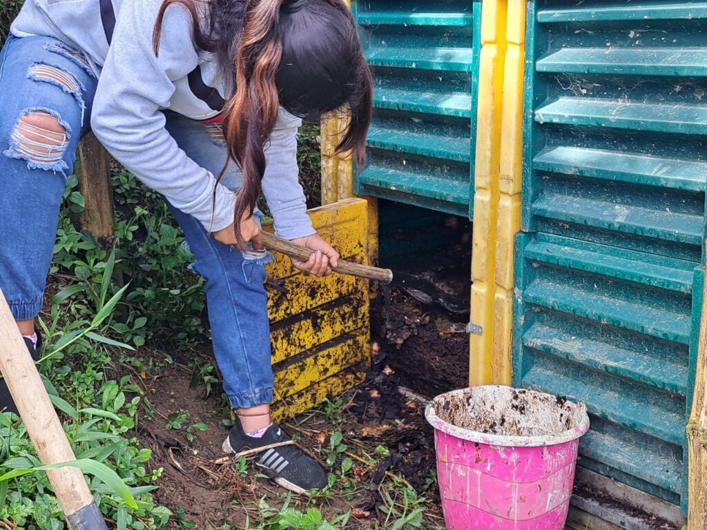 WhatsApp Image 2024-12-03 at 12.48.28 PM