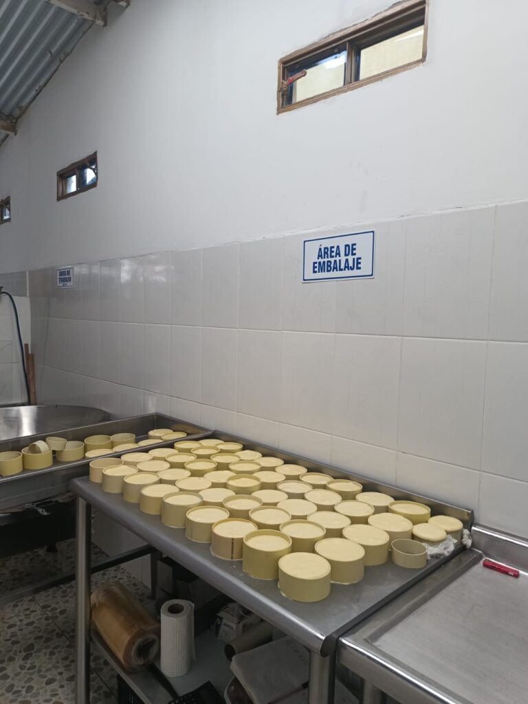 Imagen de WhatsApp 2025-01-30 a las 18.00.21_6f9f12a3 - Fabian Carvajal